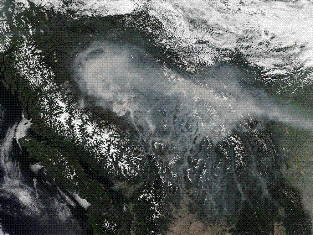 Satellite image of British Columbia with plumes of wildfire smoke streaming across forested mountains